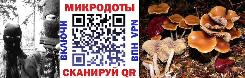 Псилоцибиновые грибы Magic Shrooms  Купить закладки  Энем 